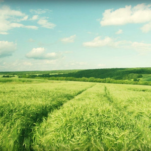 日本成人在线网址
