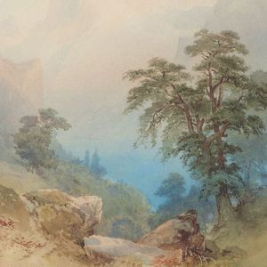 日本成人在线网址
