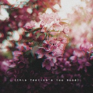 日本成人在线网址
