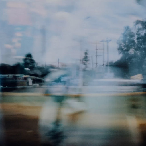 日本成人在线网址
