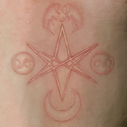 日本成人在线网址
